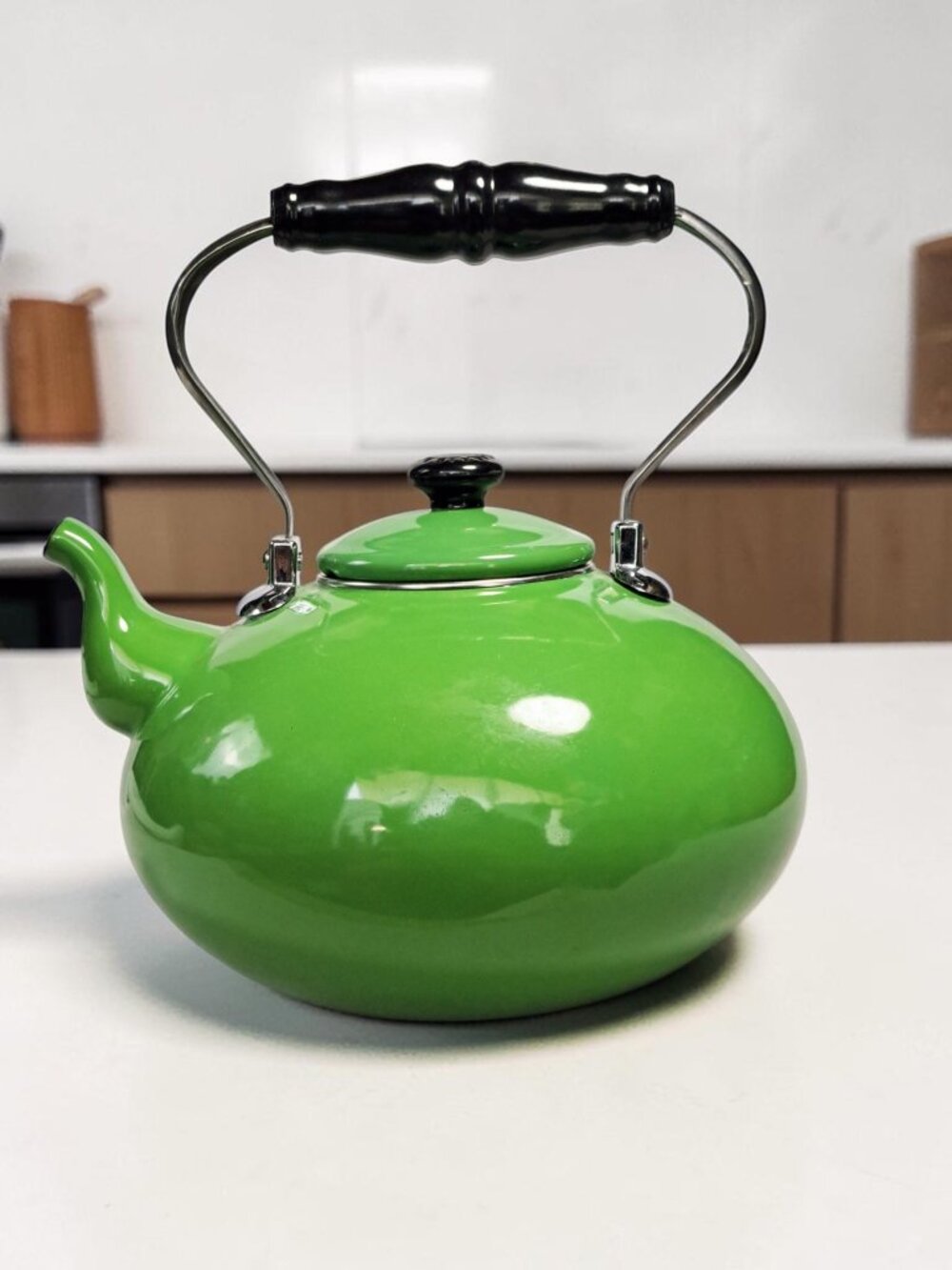 Martha Stewart Collection Green Enamel Tea Kettle Stovetop Teapot 2.5 quart